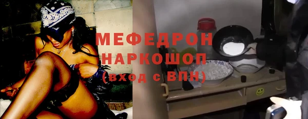 дмт Ельня