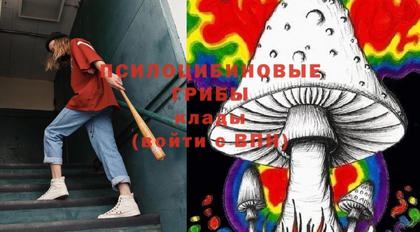 mdpv Заволжье