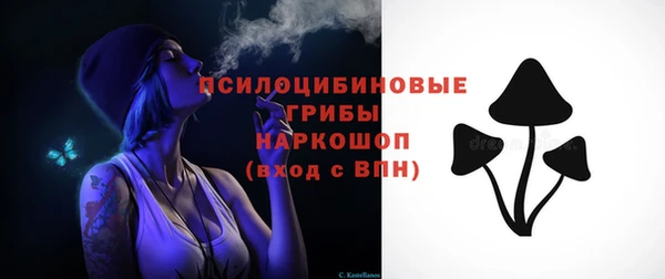 дурь Слюдянка