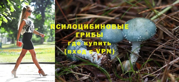 mdpv Заволжье
