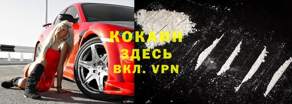 дмт Ельня