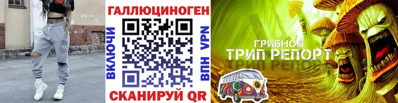 кракен вход  Нытва  Галлюциногенные грибы Cubensis 